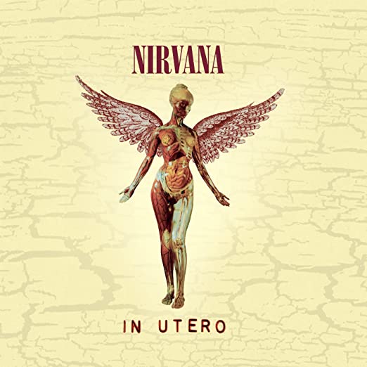 Nirvana in Utero Cover Album